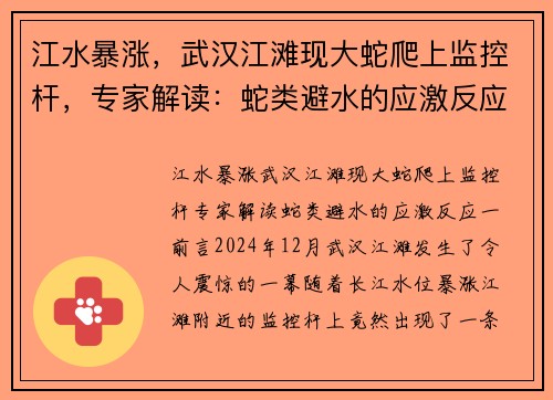 江水暴涨，武汉江滩现大蛇爬上监控杆，专家解读：蛇类避水的应激反应